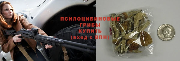 прущая мука Богородск