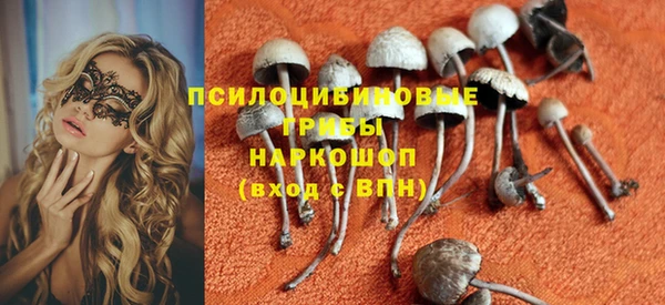 стафф Покровск