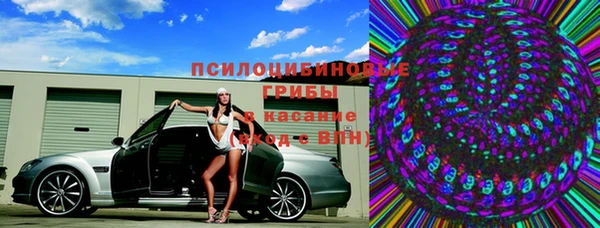 прущая мука Богородск
