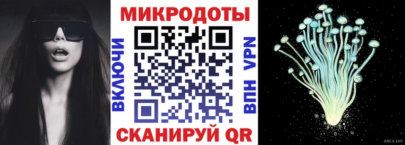 Галлюциногенные грибы мухоморы  darknet Telegram  Новоржев 